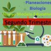 planeaciones Biología secundaria segundo trimestre