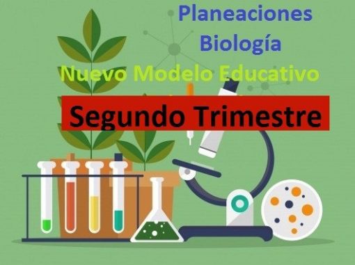 planeaciones Biología secundaria segundo trimestre