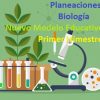 Planeaciones de Biologia