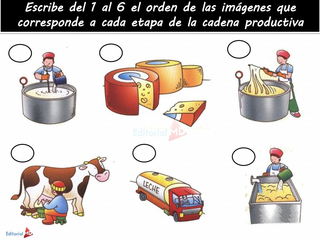 ¿Qué son las cadenas productivas? Para Niños 2021