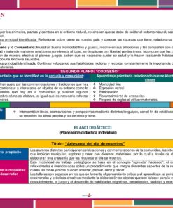Planeación Artesanía del Día de Muertos para Preescolar 14 cc961c168e3f0be3578b0bd50c6bb34a 2