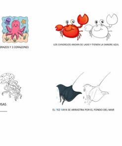 Un dibujo con cuatro cuadrantes que muestra diferentes **Actividades Animales Marinos colorear y lectoescritura**: un pulpo con ocho brazos y tres corazones, cangrejos caminando de lado con sangre azul, medusas flotando y una raya deslizándose por el fondo del mar. Los subtítulos están en español y describen los rasgos de cada criatura.