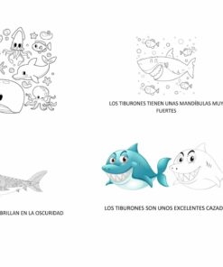 Cuatro imágenes de tiburones: la primera es una divertida ilustración protagonizada por varios animales marinos como medusas, peces y una ballena; el segundo muestra un tiburón con la leyenda 