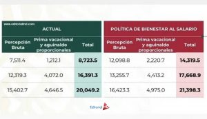 como calcular aumento docente