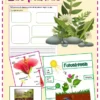 Colorido póster educativo sobre plantas en español con diagrama de plantas etiquetado, gráfico del proceso de fotosíntesis, espacios para dibujar y escribir e ilustraciones de plantas, flores y tierra. Diseño con bordes rosas y tema de cuaderno.