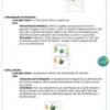 UNIDAD DIDÁCTICA LOS MOVIMIENTO DE LA TIERRA Y SUS CONSECUENCIAS 5 Una página de documentos en español enumera actividades para los alumnos, con secciones que contienen texto, pequeños iconos e imágenes como una bombilla, plantas y diagramas relacionados con el reciclaje y la concienciación medioambiental.