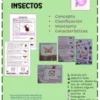Un cartel educativo en español sobre insectos. Incluye secciones denominadas "Concepto", "Clasificación", "Insectario" y "Características". Hay imágenes de insectos, una ilustración de mariposas y texto que describe cada sección. El fondo es verde.