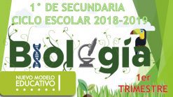 Ciencia