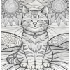 Mandala de Gato