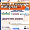 TEMA 1. PEDAGOGÍAS MULTIGRADO CTE – Quinta Sesión NEM 2026