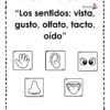 Planeación de los 5 Sentidos para Preescolar 8 Portada del cuadernillo de trabajo Los sentidos: vista, gusto, olfato, tacto, oído para preescolar