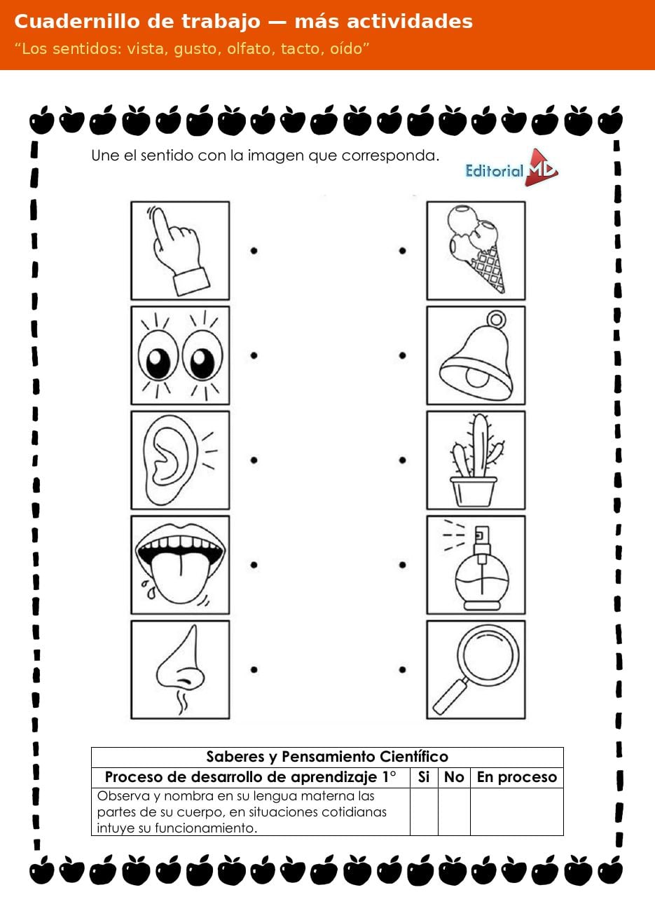 Planeación de los 5 Sentidos para Preescolar 5 Actividades del cuadernillo de trabajo Los sentidos: vista, gusto, olfato, tacto, oído para preescolar