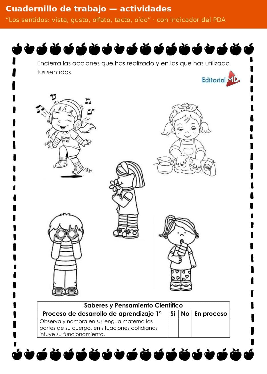 Planeación de los 5 Sentidos para Preescolar 13 Página del cuadernillo de trabajo Los sentidos: vista, gusto, olfato, tacto, oído para preescolar con indicador del PDA