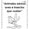 Planeación Animales que Vuelan para Preescolar: Aves e Insectos 8 Portada del cuadernillo de trabajo Animales aéreos: aves e insectos que vuelan para preescolar