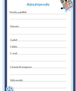 d personales bluey