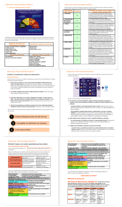 Un collage de imágenes de seis infografías y mesas educativas sobre modelos de videoconferencias sustentables y Diplomado Vida Saludable Contestado en seguridad alimentaria. Las imágenes incluyen texto y gráficos coloridos para mejorar la presentación de la información.