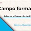 Gráfico con texto en español, incluyendo un logo con "Educación". El texto central dice "Plan Analítico 5° y 6° Grado de Primaria (Saberes Y Pensamiento Científico)" con subtexto "Saberes y Pensamiento Científico". En la parte inferior derecha se lee "Fase 4. Educación Primaria - 5° y 6° Grado" sobre un fondo blanco y azul.