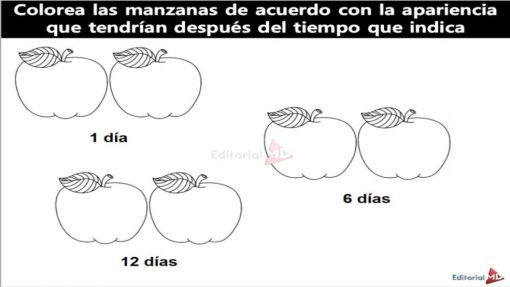 Descomposicion de Alimentos y Metodos de Conservación Para Niños