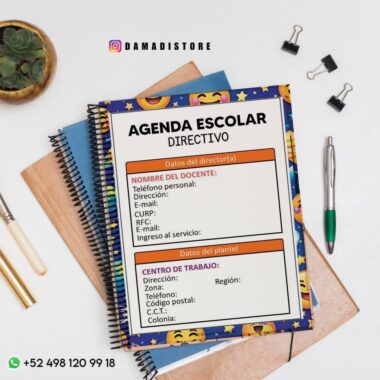 Diseño plano de una agenda escolar encuadernada en espiral con una colorida portada en forma de emoji. La agenda muestra secciones con información sobre el director y la escuela. Alrededor hay cuadernos, clips y una planta verde.