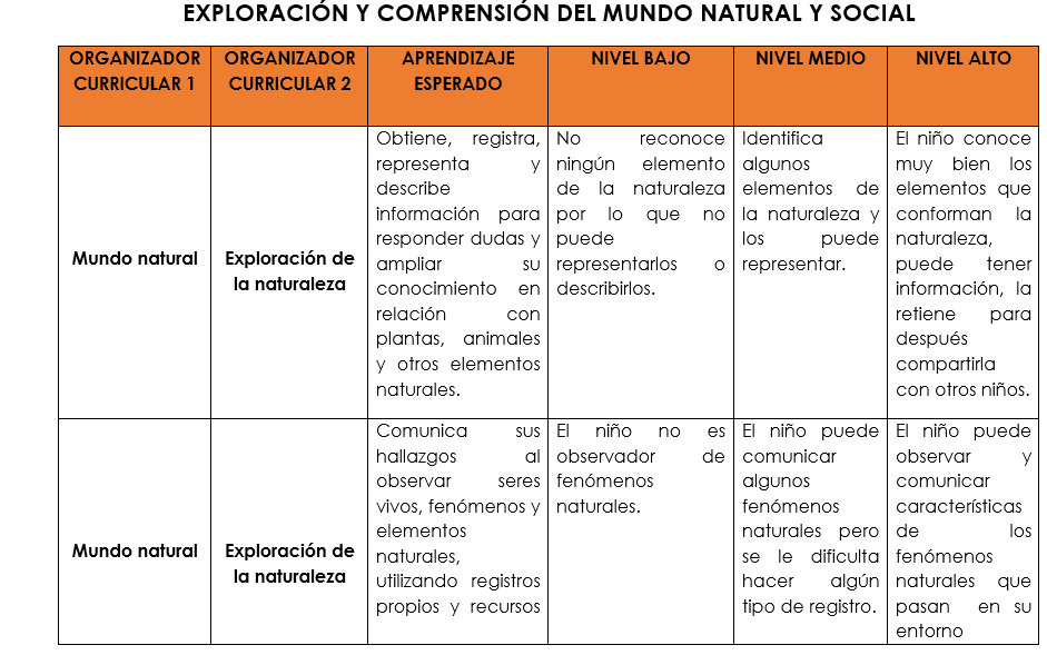 ejemplo cuadros de evaluación