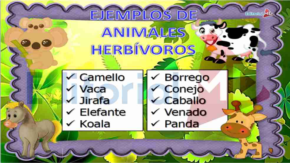 ejemplo-de-animales-herbivoros