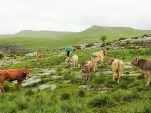 ejemplo de zona rural