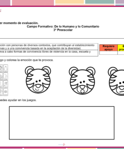 Evaluación Tercer Momento Preescolar 2026 (1° 2° y 3° Grado) 8 ejemplo evaluacion tercer momento de preescolar
