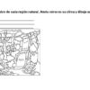 ejemplo examen 2° trim 4