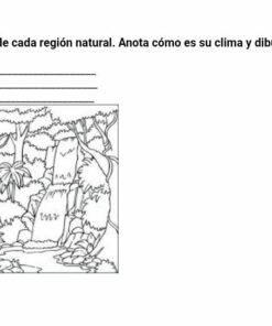 Un dibujo en blanco y negro de una densa jungla con varios árboles, plantas y arbustos. La imagen incluye espacios en blanco denominados 