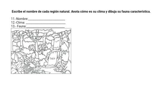 ejemplo examen 2° trim 4