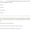 ejemplo examenes autocalificables