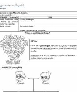 ejemplo guia estudio en casa