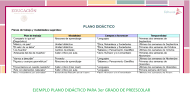 Una tabla con acentos rosas y verdes titulada "PLANO DIDÁCTICO" en el Programa Analítico Preescolar Ciclo 2025-2026 NEM muestra planes de lecciones preescolares, modalidades, campos de desarrollo y plazos recomendados.