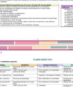 Programa Analítico de Preescolar 2026-2027 | NEM 8 ejemplo programa analitico preescolar 3