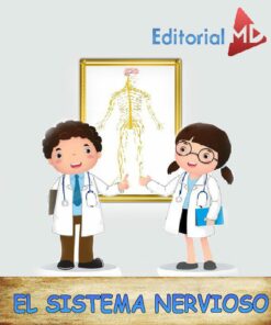sistema nervioso para niños