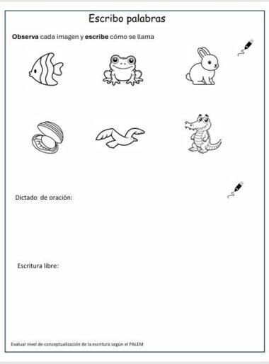 EVALUACIÓN DIAGNÓSTICA PARA PRIMER GRADO, CONOCIMIENTOS Y HABILIDADES - Image 9