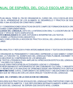 Esta imagen muestra un extenso documento de texto en español que detalla el plan anual para el desarrollo del idioma español en la educación para los años 2018-2019, titulado 