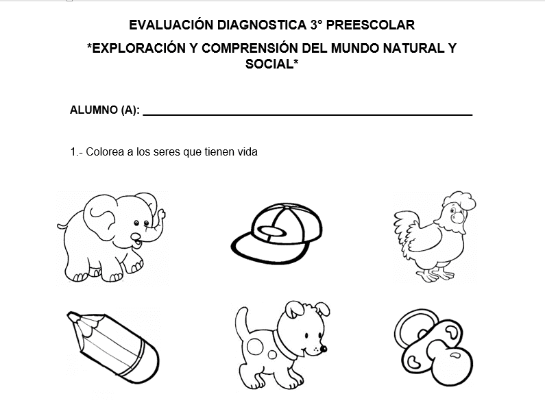 examen diagnostico 3 de preescolar