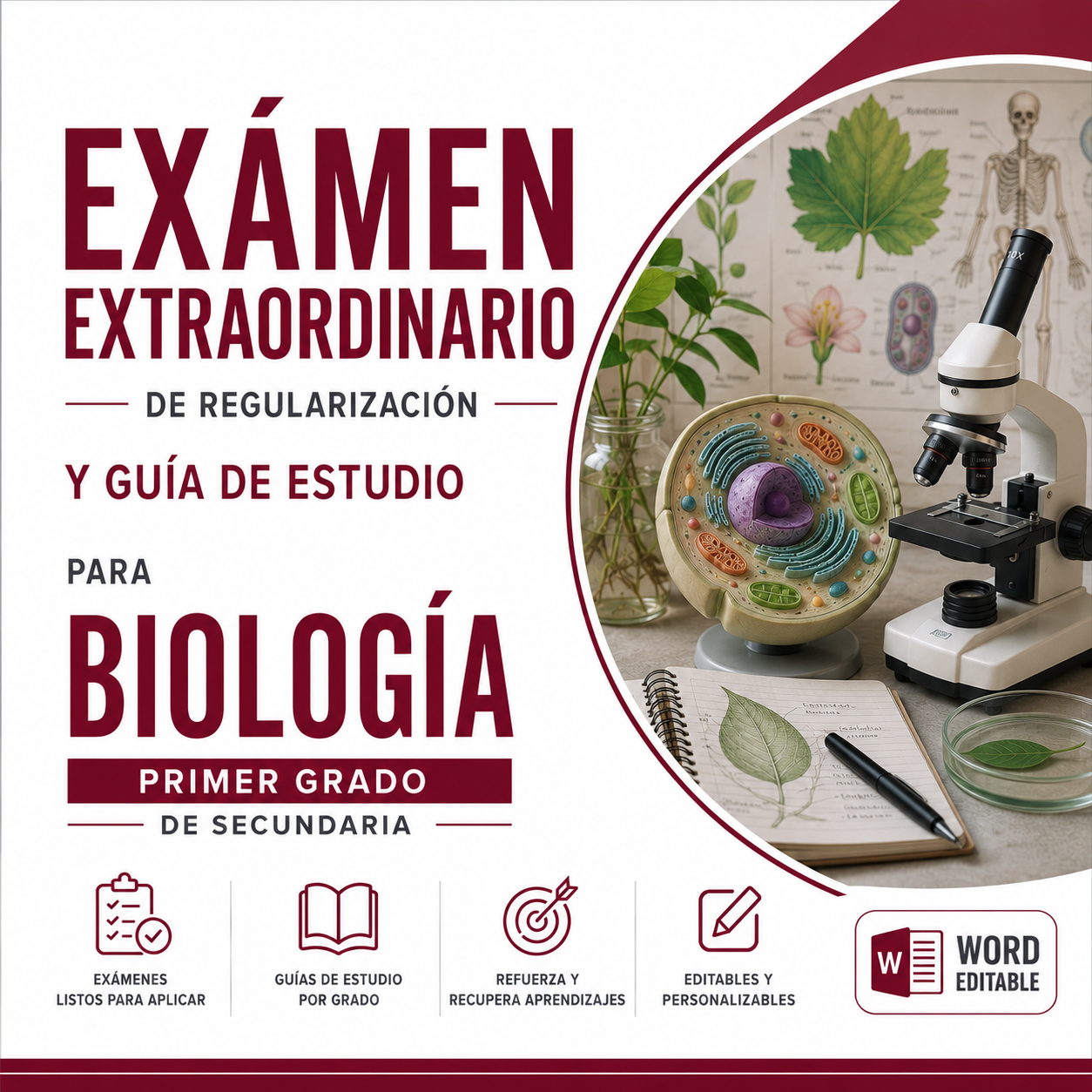 Examen Extraordinario de Regularización y Guía de Estudio para Biología Primer Grado de Secundaria 2026-2027 | Word Editable 1 Examen Extraordinario de Regularización y Guía de Estudio para Biología Primer Grado de Secundaria 2026-2027 | Word Editable