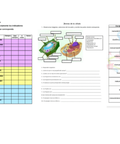 Oración con nombre de producto: Esta imagen muestra un documento educativo estructurado para el Curso Remedial Física con texto y diagramas divididos en tres secciones: 