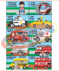 flascards transportes2