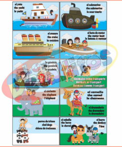 flascards transportes5