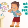 Proyecto de Comisión de Higiene Escolar