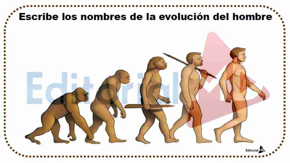 historia de la evolucion del hombre