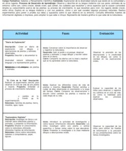 Cuentos y Actividades Didácticas - Preescolar Segundo Grado 7 imagen 3 p2
