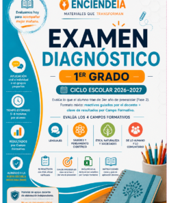 Examen Diagnóstico 1.º Grado de Primaria | Fase 2 + Excel Automático