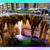imagenes 01