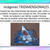 imágenes tridimensionales