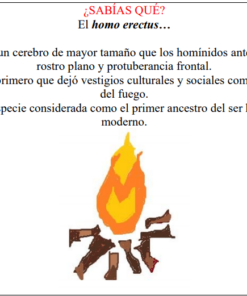 Una infografía que presenta una imagen central de un incendio con texto en español a su alrededor, que analiza el Homo erectus y sus avances culturales, como el uso del fuego y las Hojas de trabajo. Poblamiento de América.