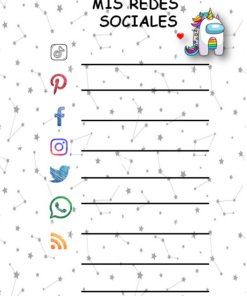 Gráfico que representa la plantilla de organización de cuentas de redes sociales titulada 